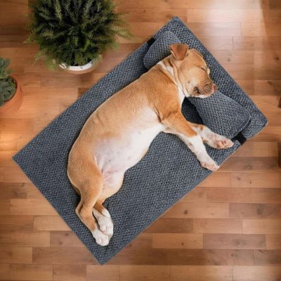 Pitbull couché sur un coussin pour chien déhoussable Confo gris foncé lavable