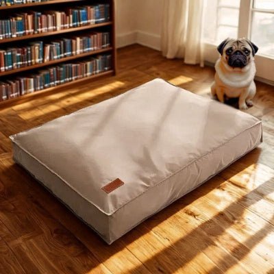 Carlin assis près du coussin pour chien déhoussable Respiro marron antidérapant