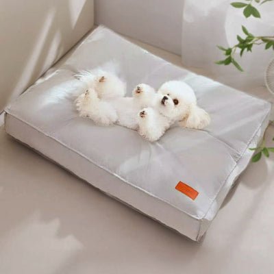 Bichon maltais sur un coussin pour chien déhoussable Respiro gris imperméable