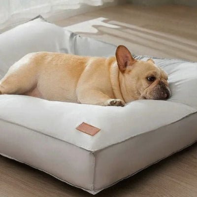 Bouledogue français couché sur un coussin pour chien déhoussable Respiro lavable