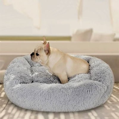 bouledogue français assis sur coussin pour chien cercota avec design ergonomique