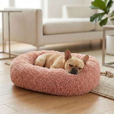 bouledogue français endormi sur un coussin pour chien cercota rose antistress