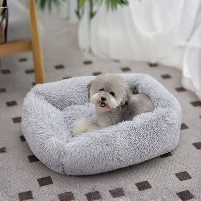 bichon frisé couché sur un coussin pour chien cercota gris avec rebord cervical
