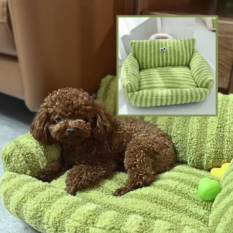 un caniche toy marron fonce est couche  la tete releve dans un coussin raye vert et lime dans le coin superieur droit de la photo nous voyons une image du cousin seul dans un cadre carre