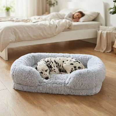 dalmatien endormi dans panier xxl pour chien gris clair orthopédique