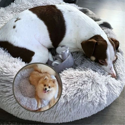 dano-suédois couché dans panier chien apaisant rond