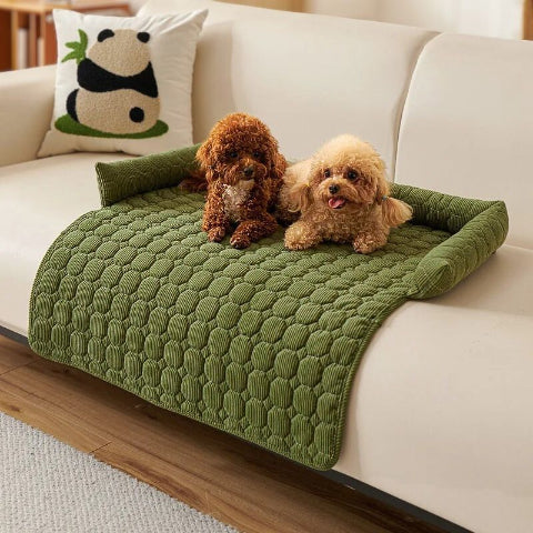 deux caniches couchés sur canapé pour chien vert fino