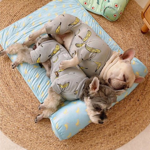 deux chiens endormis sur tapis pour chien rafraichissant chouchou