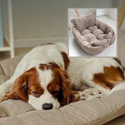 épagneul couché sur coussin chien marron clair 3 en 1