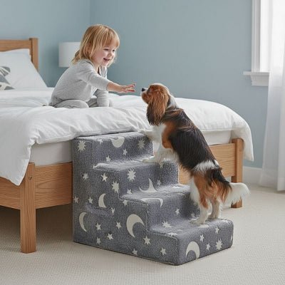 Cavalier king charles montant un escalier chien Lumiscalier 4 marches gris