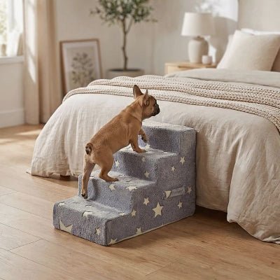 Bouledogue français montant un escalier chien Lumiscalier 4 marches gris