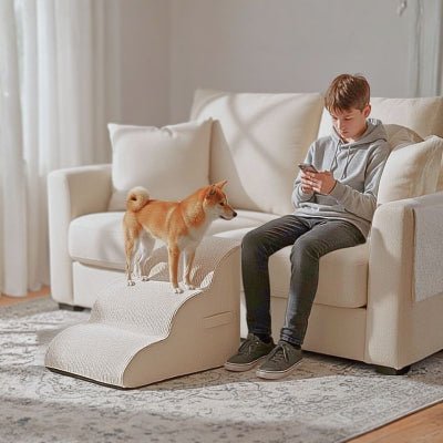 Shiba inu sur un escalier chien Pachou beige avec surface antidérapante