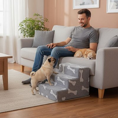 Carlin montant un escalier chien Patachon gris 3 marches