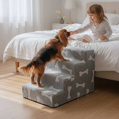 Jack russell montant un escalier chien Patachon gris 4 marches