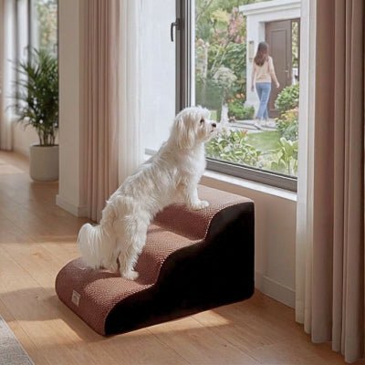 Bichon maltais sur escalier en mousse pour chien Neo marron