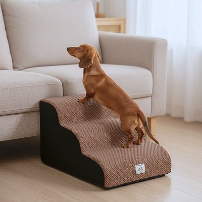 Teckel nain montant un escalier en mousse pour chien Neo lavable 