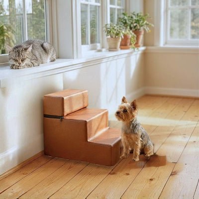 Yorkshire terrier au pied d'un escalier pour chien Escalou marron mousse dense