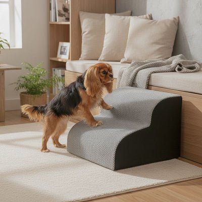 Cavalier king charles sur escalier pour chien Escapatte 2 marches gris et noir