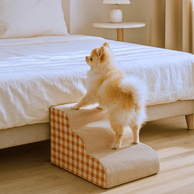 Spitz nain montant un escalier pour chien Grimpou de trois marches orange