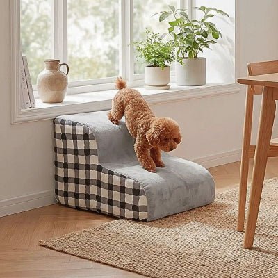 Caniche nain descendant un escalier pour chien Grimpou de deux marches noir