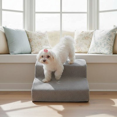 Bichon maltais descendant un escalier pour chien Hophop gris 2 marches