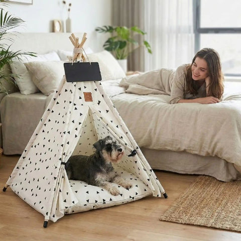 femme regarde schnauzer nain dans tipi pour chien kaya