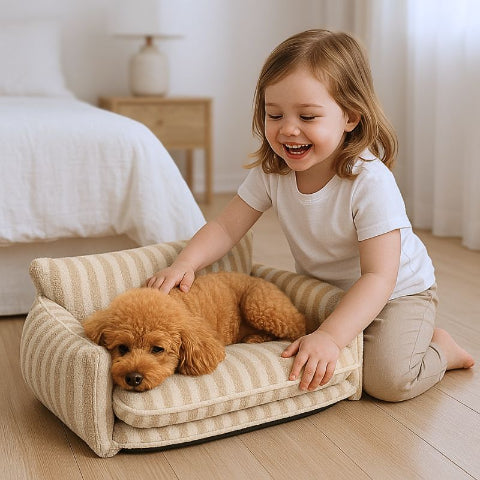 fillette caresse poméranien allongé sur canapé pour chien beige zebro