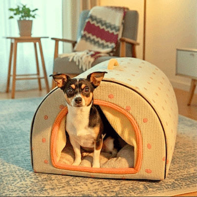 fox terrier assis dans niche d'intérieur pour chien kaban verte
