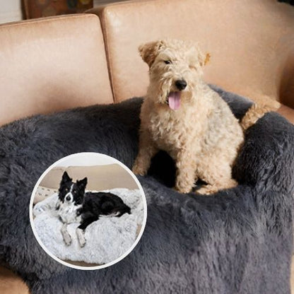 fox terrier assis dans panier à chien-antidérapant couvre sofa