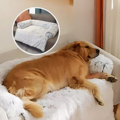 golden allongé dans panier à chien gris clair couvre sofa