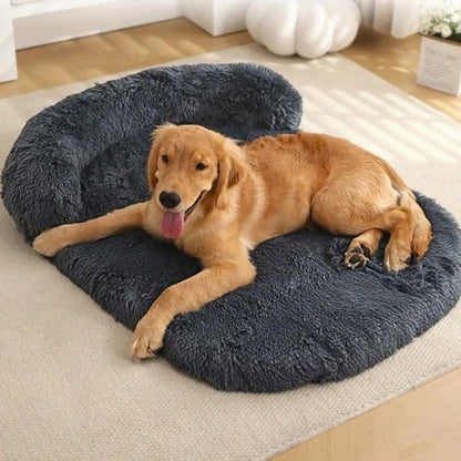 golden allongé sur coussin chien xxl noir arcon