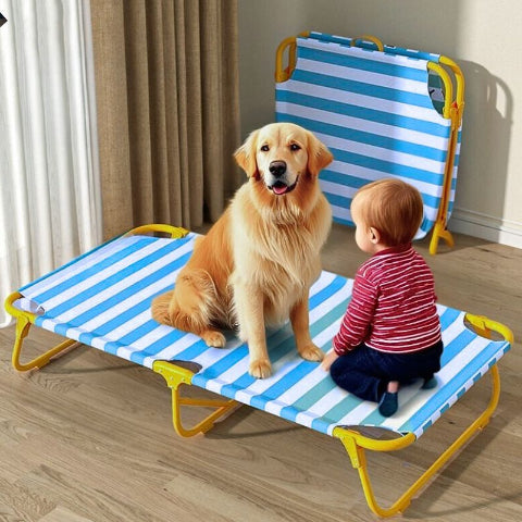 golden assis sur lit de camp pour chien antidérapant solil