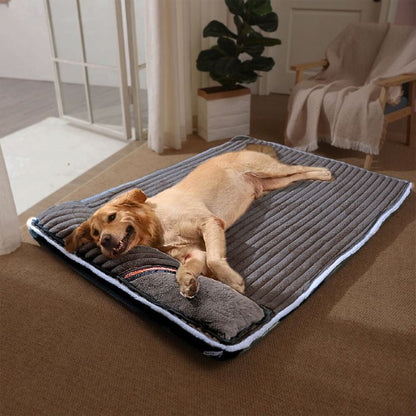 golden couché sur coussin déhoussable pour chien gris foncé xxl