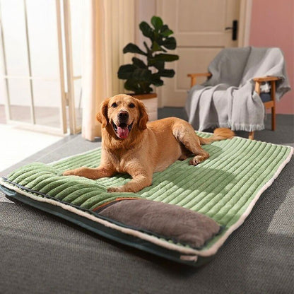 golden couché sur coussin déhoussable pour chien vert xxl