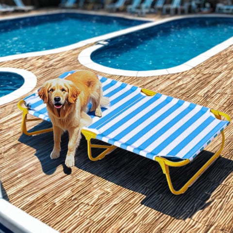 golden débarquant du lit de camp pour chien bleu solil