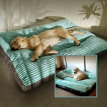 golden endormi sur coussin chien vert housse amovible