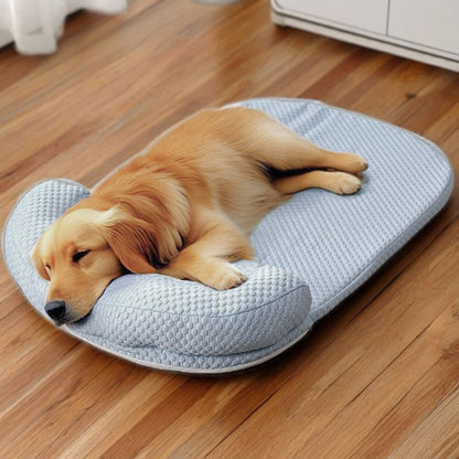 golden endormi sur tapis rafraichissant chien bleu kolos