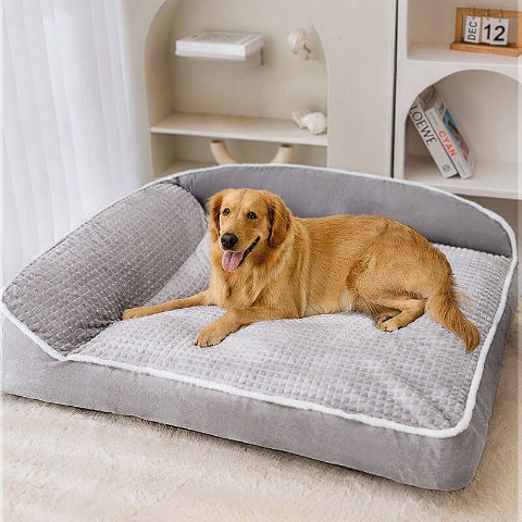 golden retriever allongé sur lit chien gris relaxol