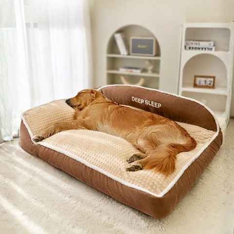 golden retriever allongé sur lit chien marron relaxol