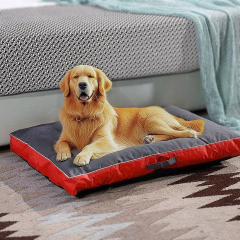 golden retriever allongé sur matelas pour chien rouge résistar