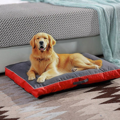 golden retriever allongé sur matelas pour chien rouge résistar