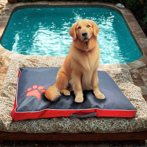 golden retriever assis sur matelas pour chien duveteux résistar