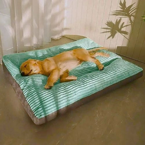 golden retriever couché sur coussin chien vert housse amovible