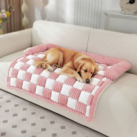 golden retriever couché sur lit canapé pour chien rose damio