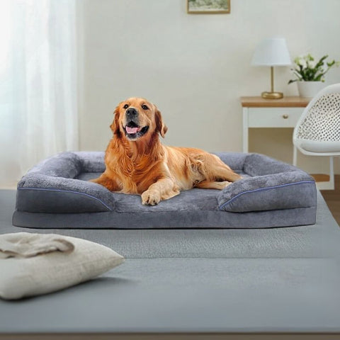 goldenr retriever couché sur panier pour grand chien gris velou