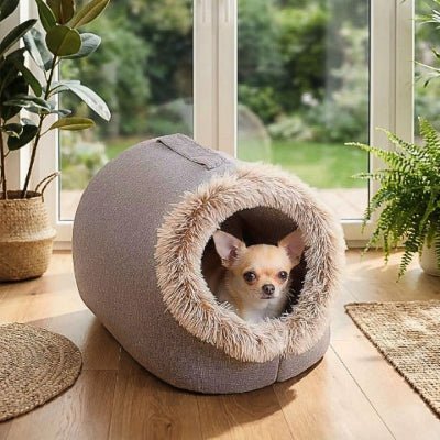 Chihuahua dans une grotte pour chien Cavina lavable en machine marron