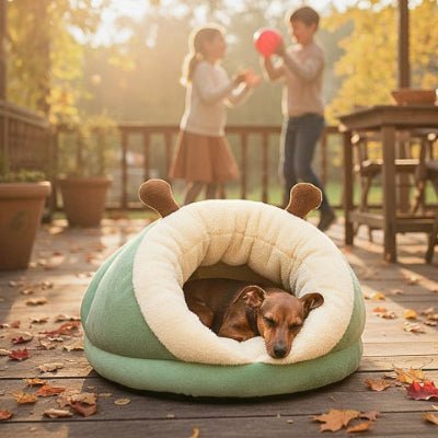 pinscher nain endormi dans une grotte pour chien douillette verte