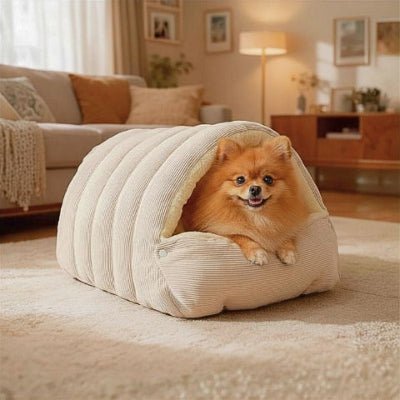 poméranien allongé dans une grotte pour chien beige apaisante