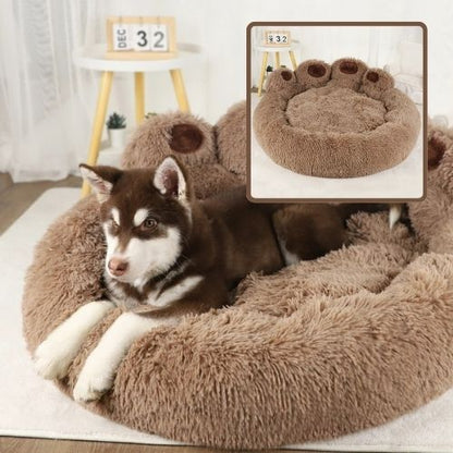 husky allongé dans panier pour chien-marron patte