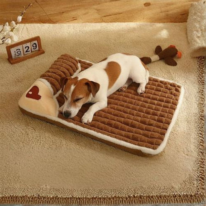 jack russell allongé sur coussin chien marron protège cervicale